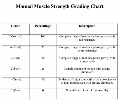 Mmt manual muscle testing grades