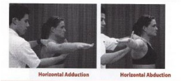 Movements, Manual Muscle Testing & Goniometry - Shoulder complex